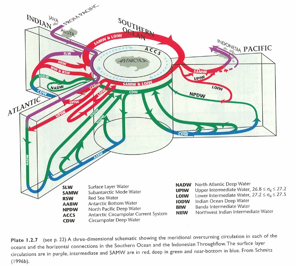 WOCE world ocean circulation map